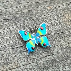 Enamel 925 Mexico butterfly pin